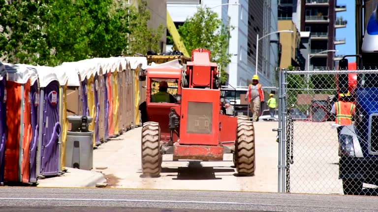 How Our Tree Care Process Works  in  Stepping Stone, CO